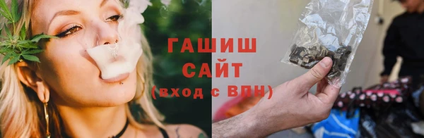 гидра Алзамай