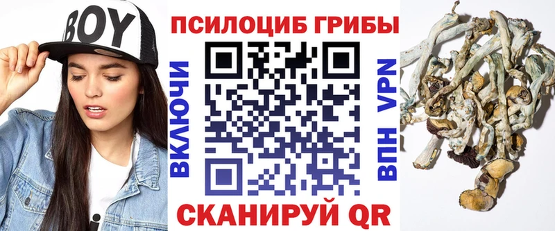 ссылка на мегу как зайти  Новоаннинский  Псилоцибиновые грибы Cubensis 